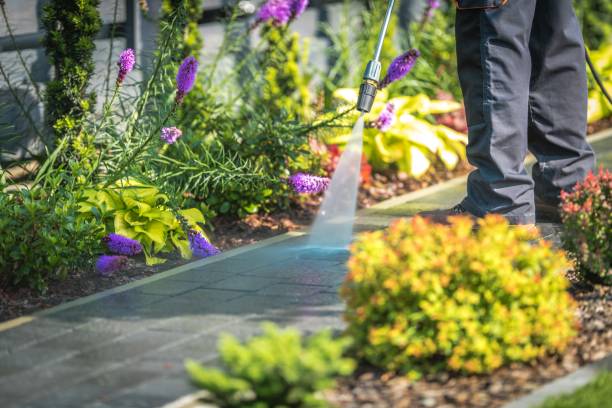 Best Soft Washing for Delicate Surfaces in Lexington, NE